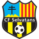  Escudo Club Futbol Selvatans