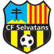 Escudo Club Futbol Selvatans